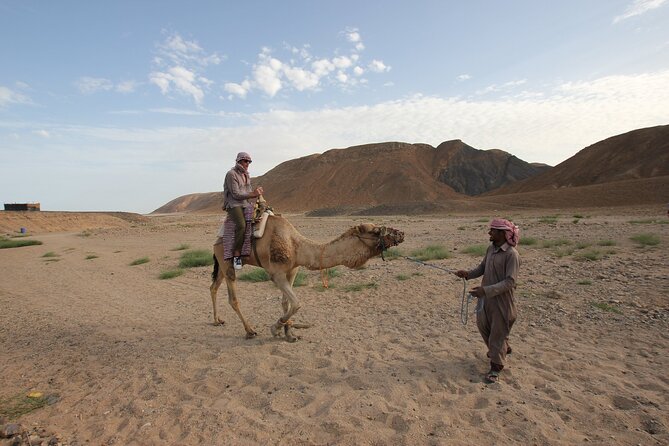 Sunset Camel Ride in Agadir or Taghazout With Transfers - Is $17.68 good value?