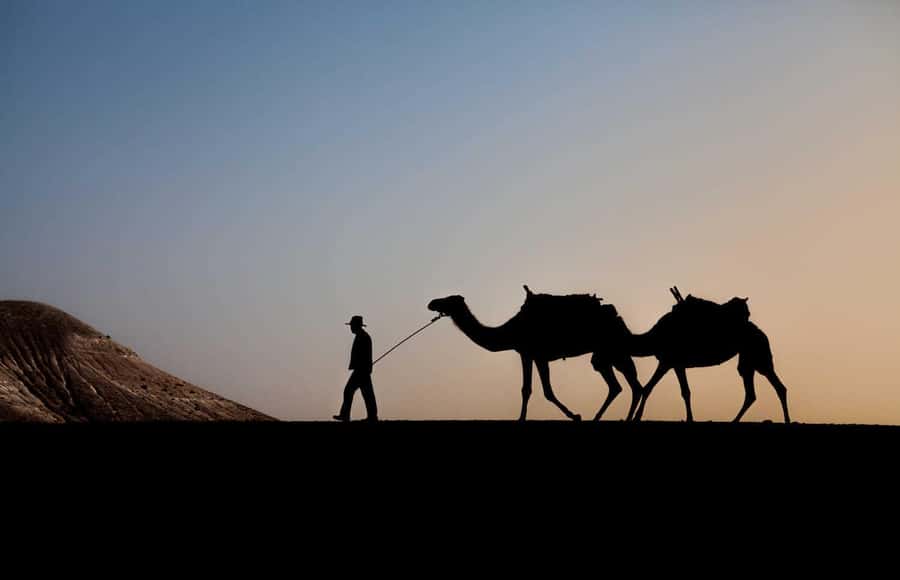 Sunset Camel Ride in Agafay Desert with dinner and pool - Five things to know before you go