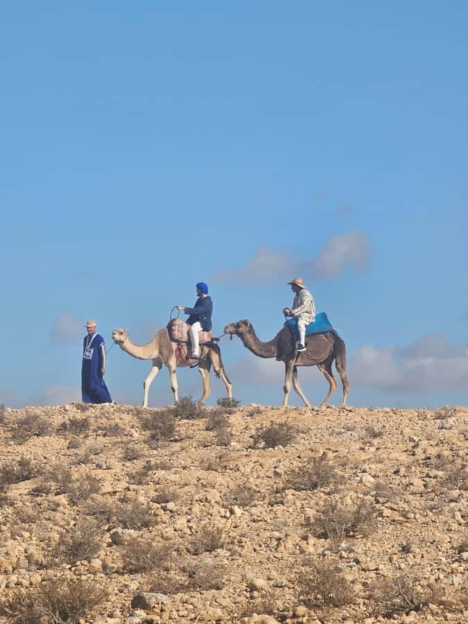 Sunset Camel Ride in Agafay Desert with dinner and pool - How much value do you get for $74?