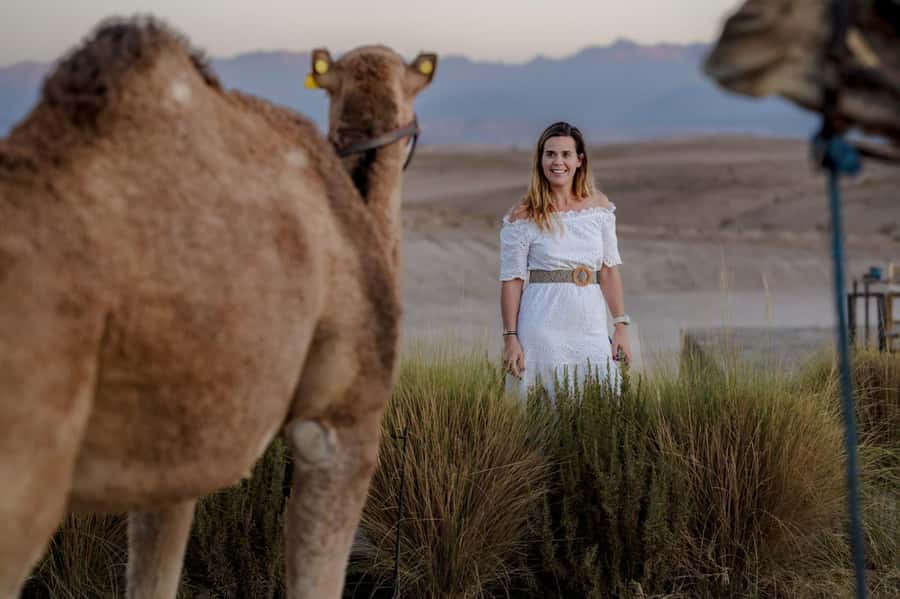 Sunset Camel Ride in Agafay Desert with dinner and pool - Should you book the sunset camel ride?