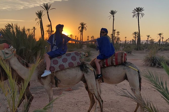 Sunset Camel Ride in the Palm Grove of Marrakech - From your hotel to a Berber welcome