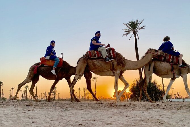 Sunset Camel Ride in the Palm Grove of Marrakech - Mint tea inside a traditional Berber home