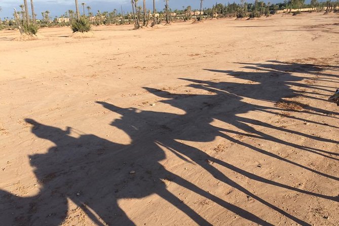 Sunset Camel Ride in the Palm Grove of Marrakech - Is $45.19 a fair price?