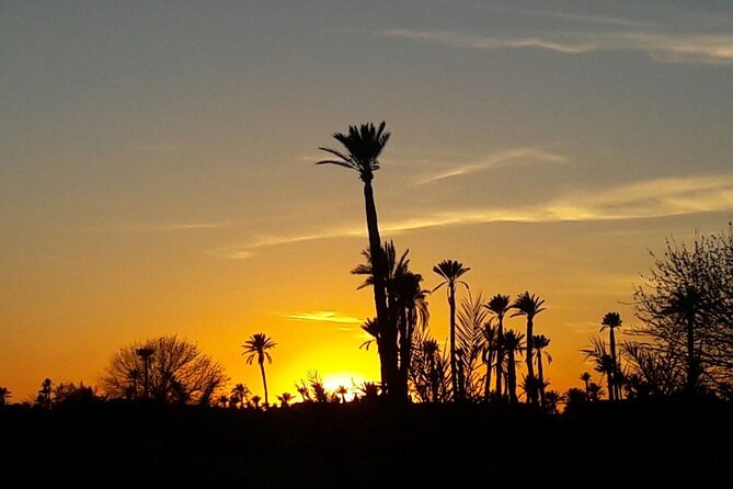 Sunset Camel Ride in the Palm Grove of Marrakech - Who will enjoy this evening most?
