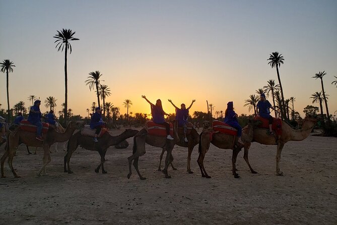 Sunset Camel Ride in the Palm Grove Of Marrakech - Thirty minutes among the Palmeraie palms