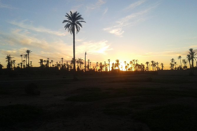 Sunset Camel Ride Marrakech with Transfers - Key points to know before you book