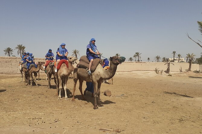 Sunset Camel Ride Marrakech with Transfers - The one-hour camel ride through the palms