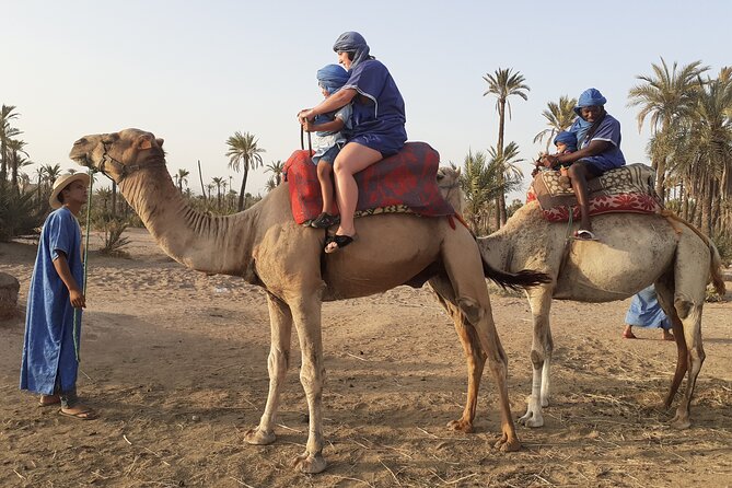 Sunset Camel Ride Marrakech with Transfers - Mint tea with local Berbers