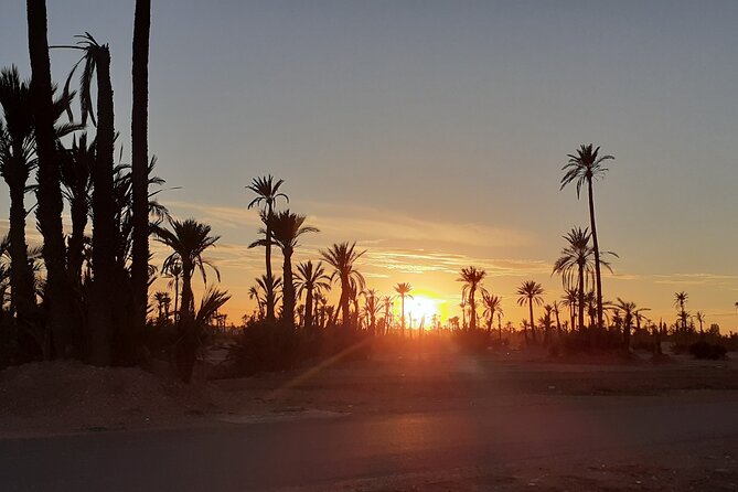 Sunset Camel Ride Marrakech with Transfers - Is $23.23 good value?