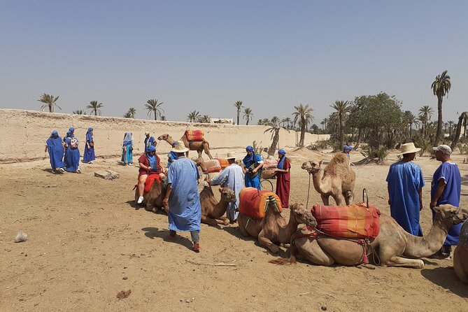 Sunset Camel Ride Marrakech with Transfers - Who will enjoy this ride most?
