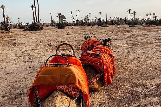Sunset Camel Ride Marrakech with Transfers - Changing into Touareg-style clothing