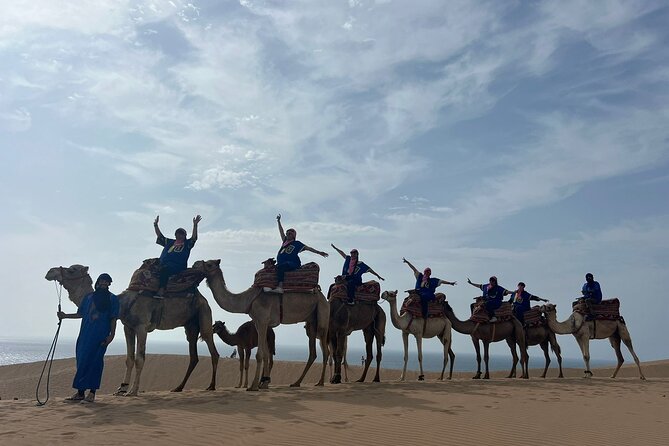 Sunset Camel Ride tour with Barbecue dinner in the beach - Why This Agadir Camel Ride Works