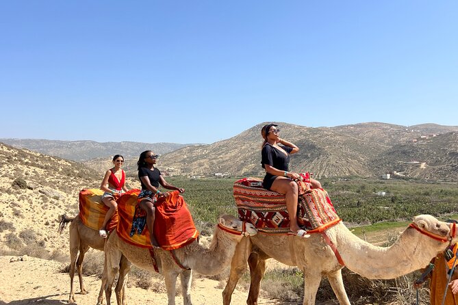 Sunset Camel Ride tour with Barbecue dinner in the beach - Choosing Your Camel at the Atlantic Ranch