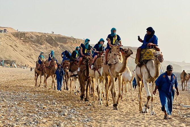 Sunset Camel Ride tour with Barbecue dinner in the beach - Tamri Beach at Golden Hour