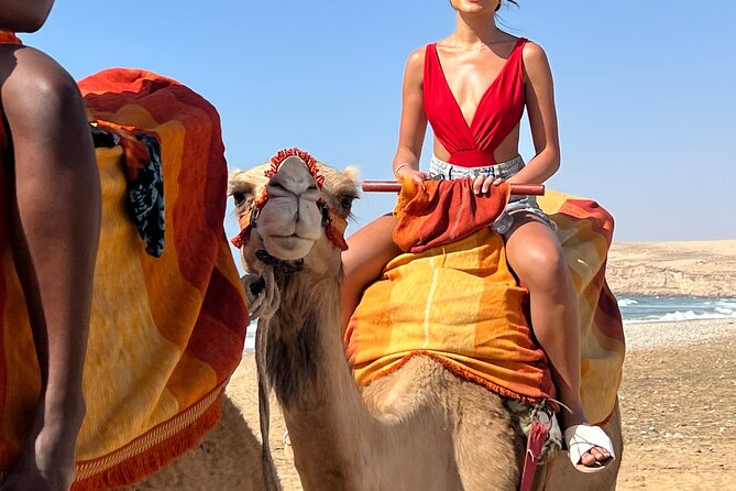 Sunset Camel Ride tour with Barbecue dinner in the beach - Back at the Ranch: Moroccan Salad, Barbecue, and Tea