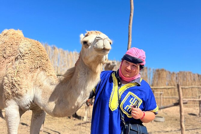 Sunset Camel Ride tour with Barbecue dinner in the beach - Who Should Book This Experience?