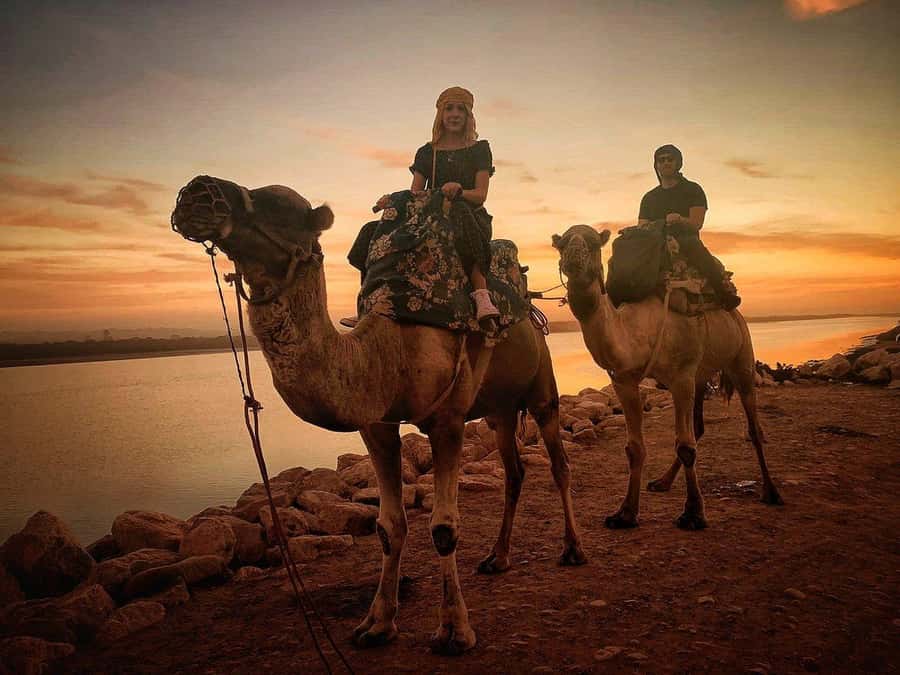 Sunset Camel Riding Including BBQ Dinner & Hotel Transfers - Key points to know before booking