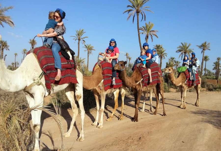 Sunset Camel Riding Including BBQ Dinner & Hotel Transfers - Sunset beside the Souss River