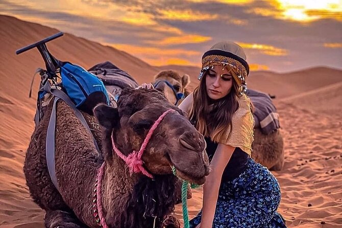 Sunset views with dinner show and came ride tour - Key points to know before booking