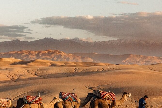 Sunset views with dinner show and came ride tour - What the $32.65 price really includes