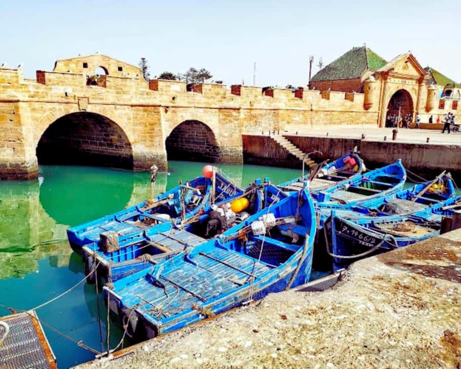 Surf Training and Lunch on Essaouira Day Trip from Marrakech - Is $70 good value for this day trip?