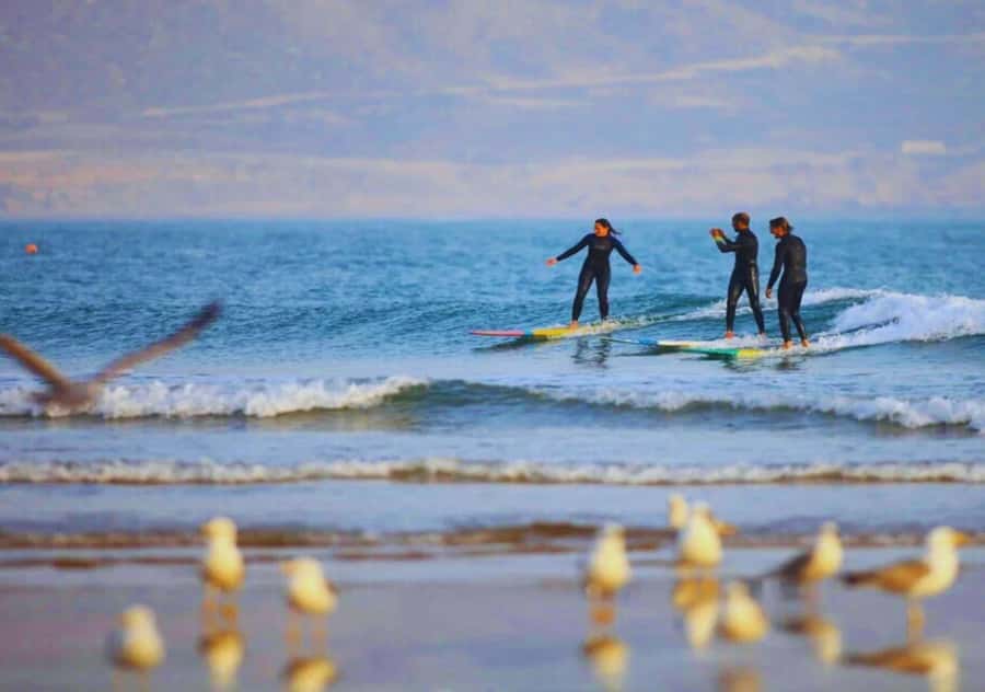 Surf Training and Lunch on Essaouira Day Trip from Marrakech - Guides, drivers, and the human side of the day