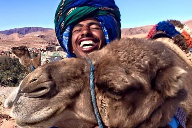 Tangier 3 Hours Sightseeing & Camel ride - Why this short coastal tour works