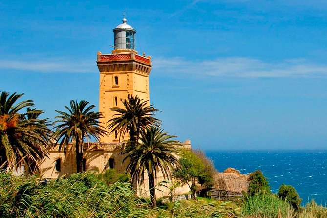 Tangier 3 Hours Sightseeing & Camel ride - Perdicaris Park: a brief green pause