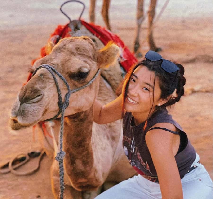 Tangier: Achakar Beach Sunset Camel Ride & Moroccan Dinner - Why this four-hour Tangier outing works
