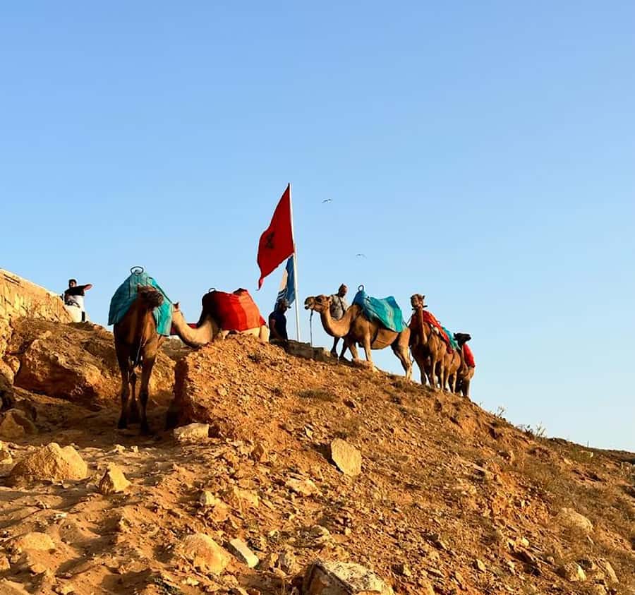 Tangier: Achakar Beach Sunset Camel Ride & Moroccan Dinner - The Atlantic and Mediterranean meeting point