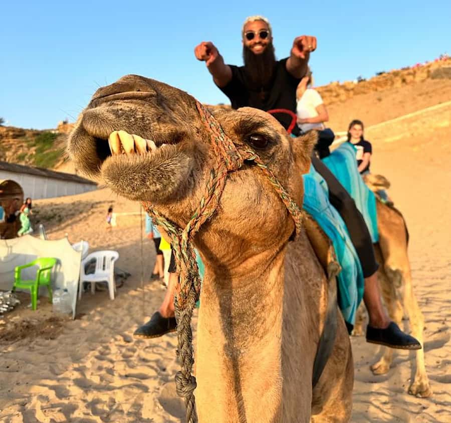 Tangier: Achakar Beach Sunset Camel Ride & Moroccan Dinner - The Medina walk and Grand Socco finish