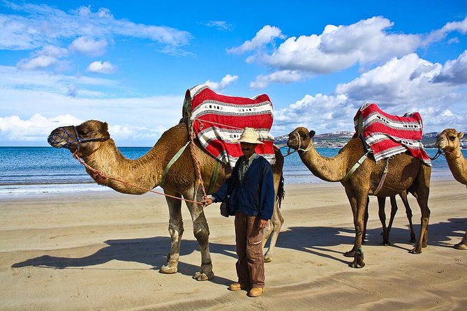 Tangier City Tour - Parc Perdicaris: a green start by the sea