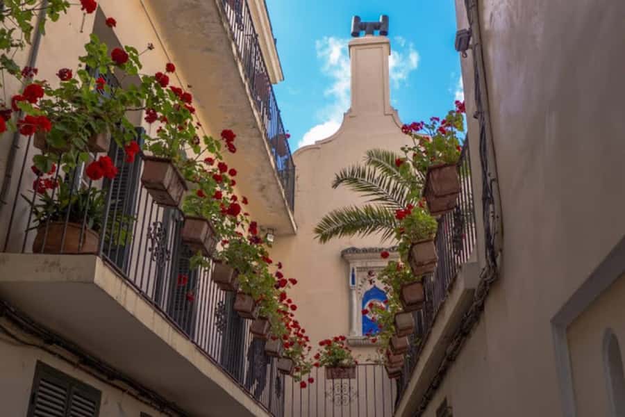 Tangier Half-Day Guided City Tour - What the guides and drivers add