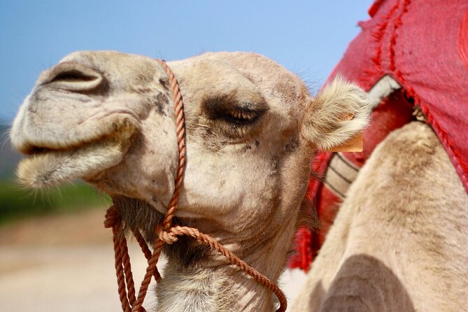 Tangier Private Customized Tours - Hercules Cave and the story of Hercules