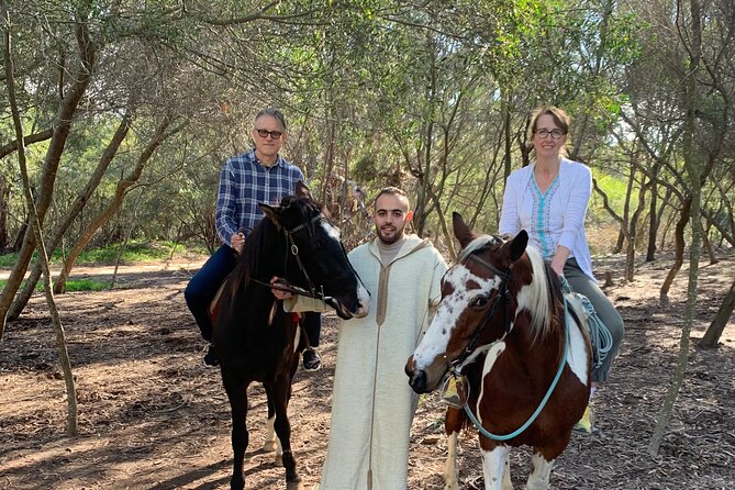 Tangier Private Full Day Tour Including Ferry Ticket & Camel Ride - Mendoubia Garden, Moshe Nahon Synagogue, and a wider view of Tangier