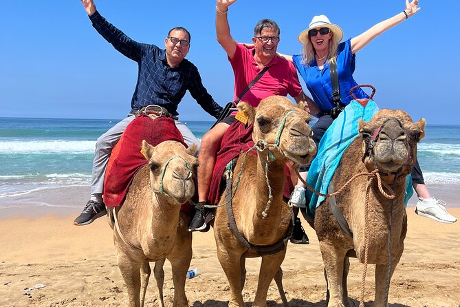 Tangier private half day tour Deluxe Including camel ride & Lunch - Lunch, tea, and the practical value of a private guide