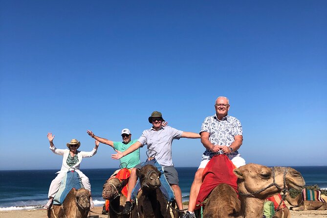 Tangier Private Tour :Medina ,souks, kasbah, caves & camel ride - Cap Spartel and Perdicaris Park: Big views outside the city