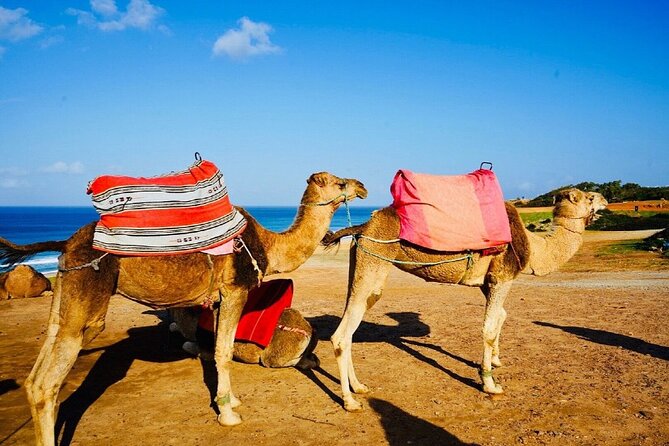 Tangier’s sightseeing Daytour - How to use the private format well