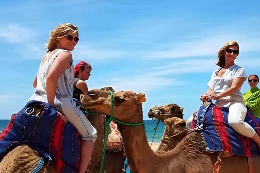 Tarifa/Algeciras: Tangier Private Day Tour with Ferry Ticket - The King’s Palace and Tangier’s newer side