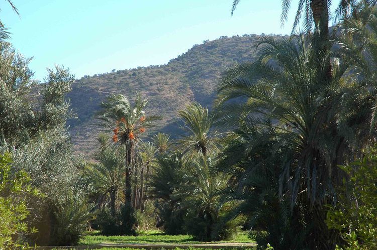 Taroudant and Tiout Oasis Trip With Lunch - Key points to know before you go