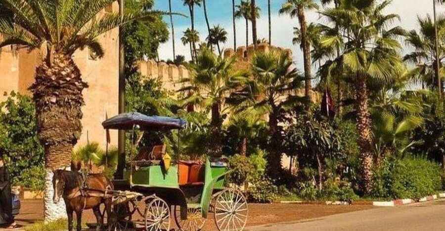 Taroudant and Tiout Oasis Trip With Lunch - Why Taroudant makes a good change from Agadir