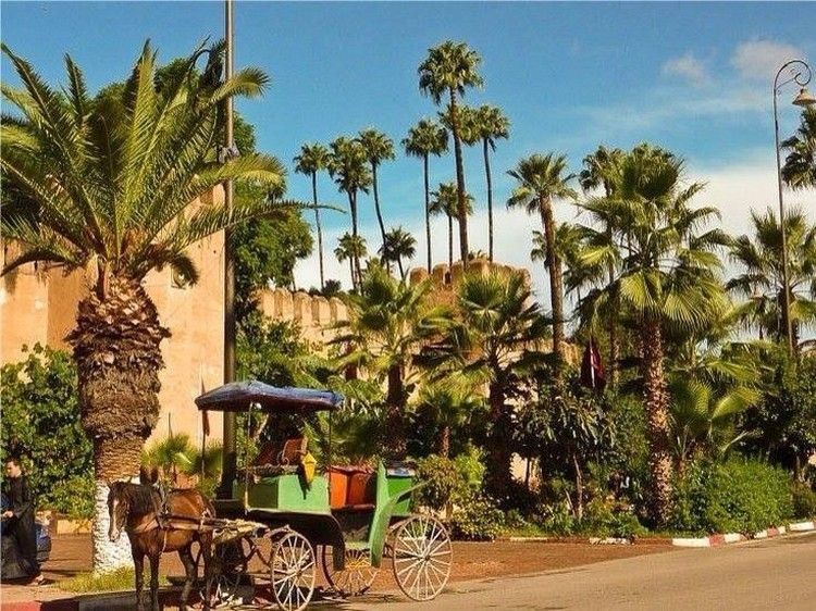 Taroudant and Tiout Oasis Trip With Lunch - Silver Berber jewelry, carpets, and the shopping question