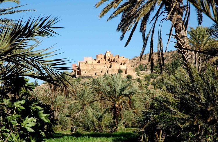 Taroudant and Tiout Oasis Trip With Lunch - The road from Taroudant to Tiout