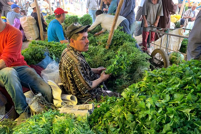 The Atlas Mountains and 5 Valleys Day Trip from Marrakech with Berber Lunch - Lunch with a Berber family