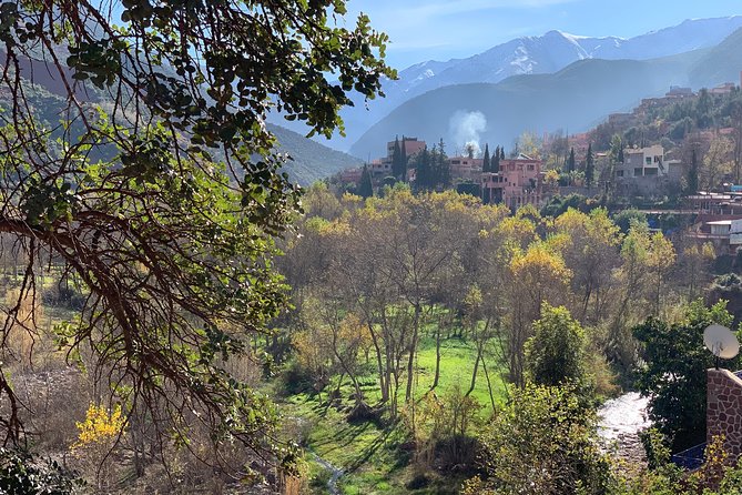 The Atlas Mountains and 5 Valleys Day Trip from Marrakech with Berber Lunch - Tahannaout market and the final stop
