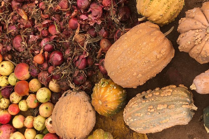 The Sunday Market in Had Draa & Local Food Tasting. - Who should book this experience?