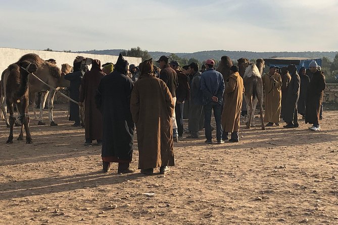 The Sunday Market in Had Draa & Local Food Tasting. - The morning drive from Essaouira to Had Draa