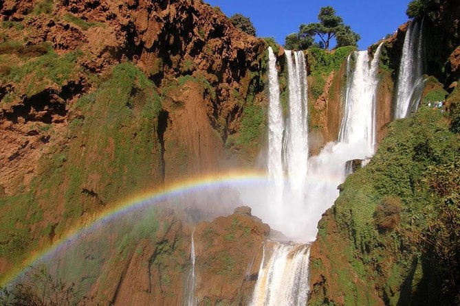 The waterfalls of Ouzoud - A two-hour walk through olive trees and forest