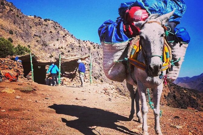 Toubkal Ascension 2 Days - Best Season for the Toubkal Route