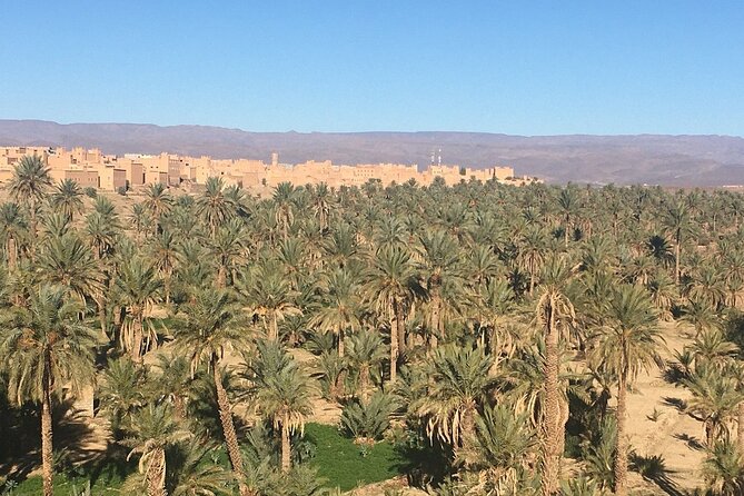 Tour from Ouarzazate to Vallee Du Draa and Dunes Of Tinfou - Lunch and a Pool Break at Riad Zagora Palms
